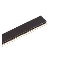 40-pin Header Strip